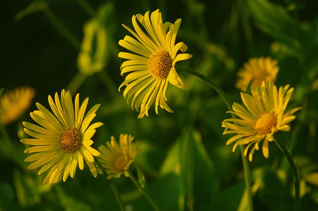 How to start flower business in Hindi