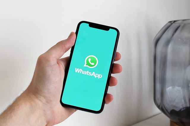 WhatsApp Se Paise Kaise Kamaye?