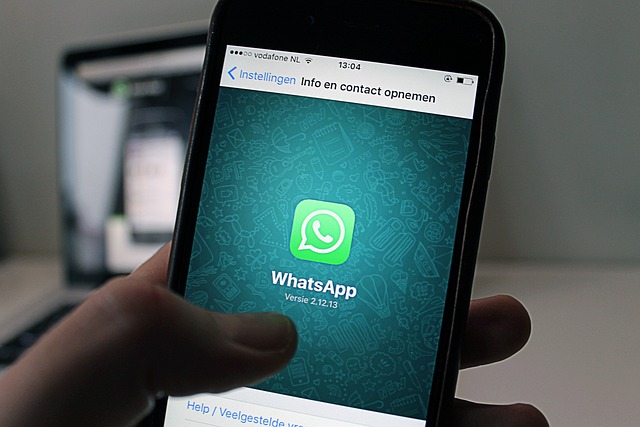 WhatsApp के जरिए Blog से पैसे कमाए